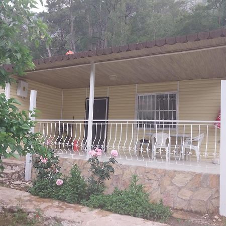 Village Garden Pansiyon Antalya Exterior photo