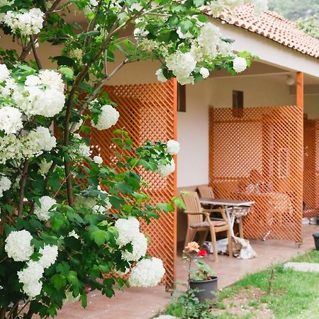 Village Garden Pansiyon Antalya Exterior photo