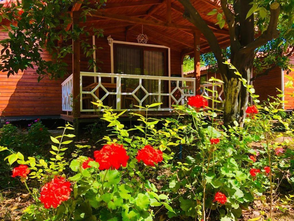 Village Garden Pansiyon Antalya Exterior photo