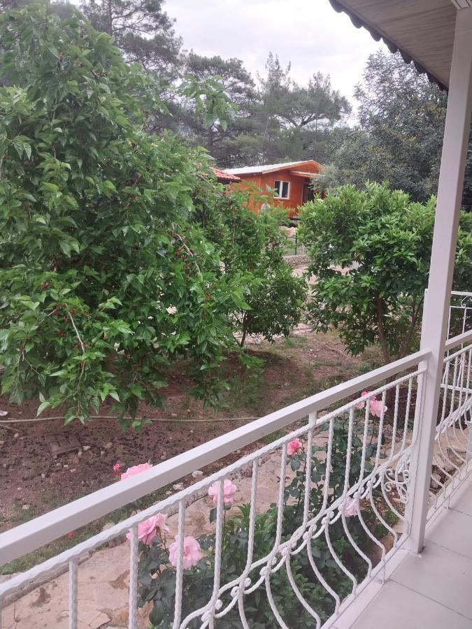 Village Garden Pansiyon Antalya Exterior photo