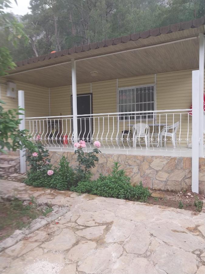 Village Garden Pansiyon Antalya Exterior photo