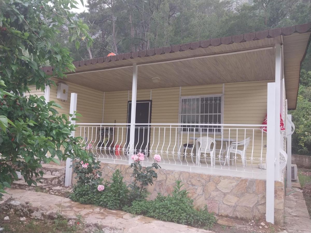 Village Garden Pansiyon Antalya Exterior photo