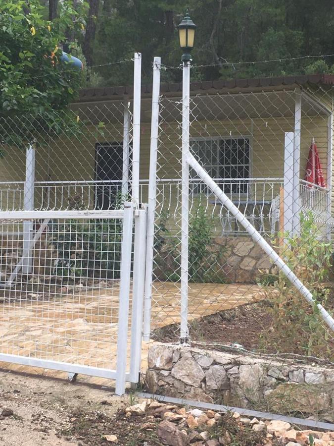 Village Garden Pansiyon Antalya Exterior photo