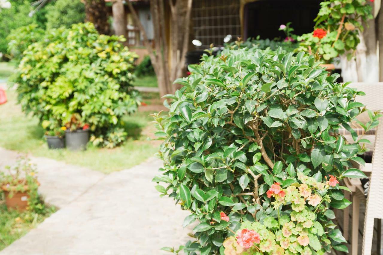Village Garden Pansiyon Antalya Exterior photo