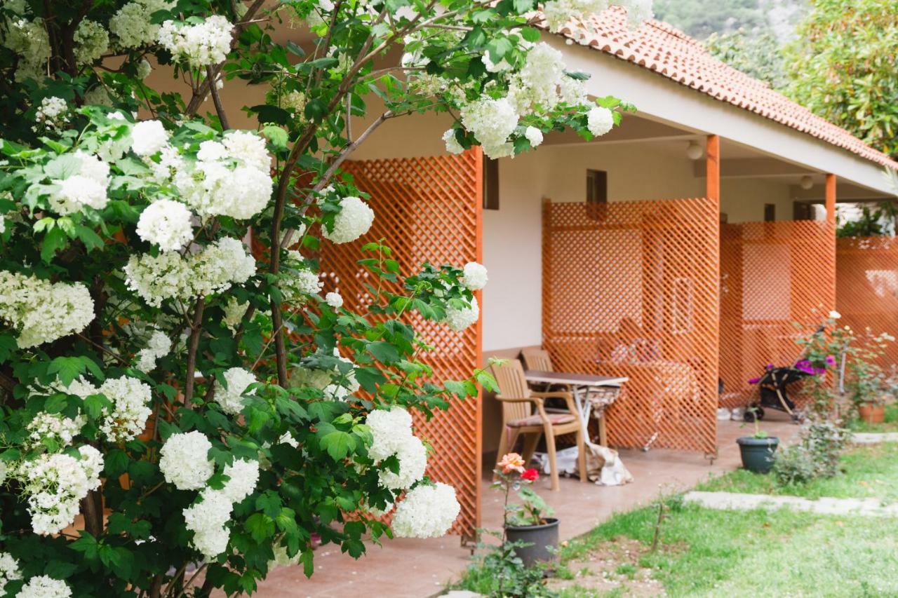 Village Garden Pansiyon Antalya Exterior photo