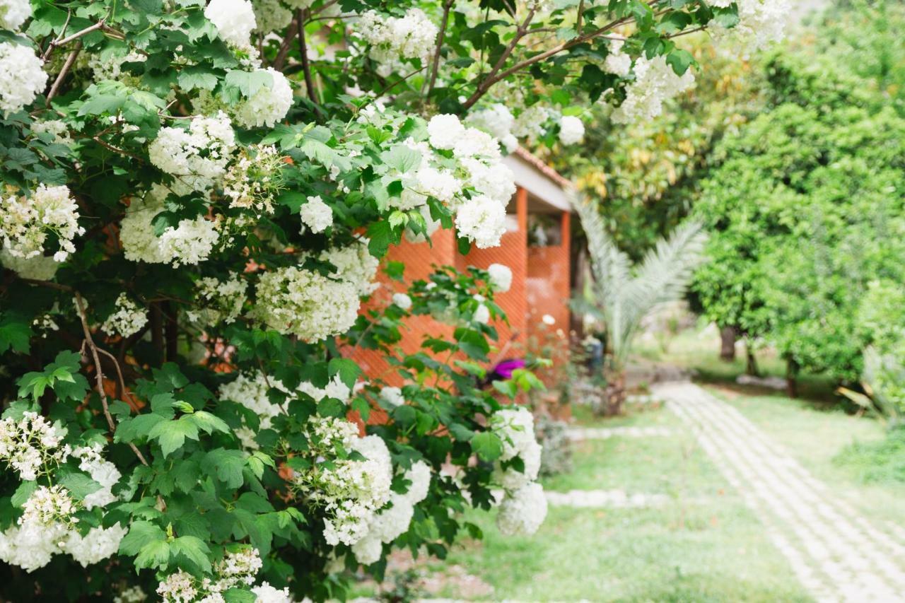 Village Garden Pansiyon Antalya Exterior photo